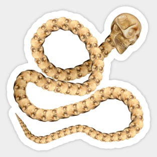 Skully the snake Sticker